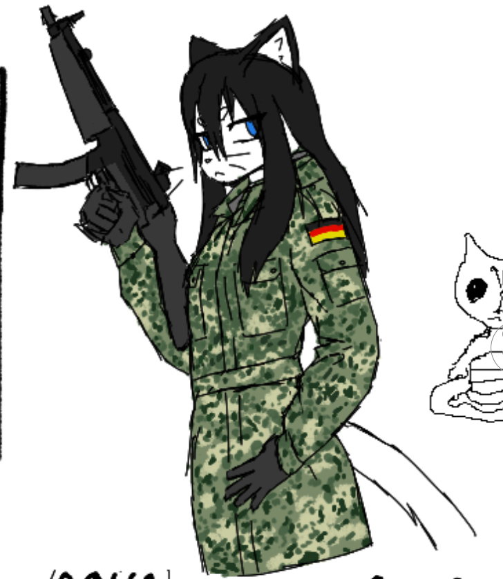 femcel flecktarn noshad.png